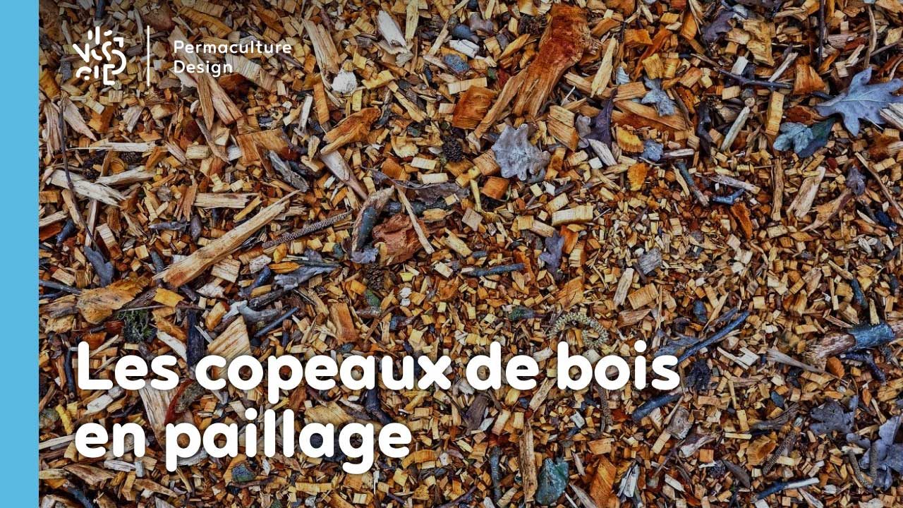 Les copeaux de bois en paillage