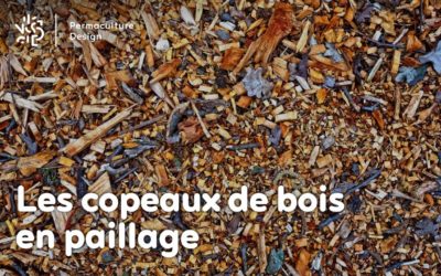 Les copeaux de bois en paillage