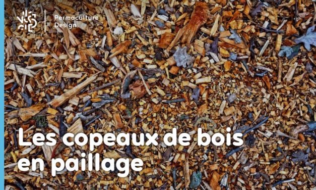 Les copeaux de bois en paillage