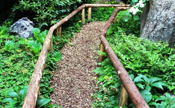Exemple de chemin paillé avec des copeaux de bois ce qui limite la poussée des adventices et donc l’entretien sur ce passage.