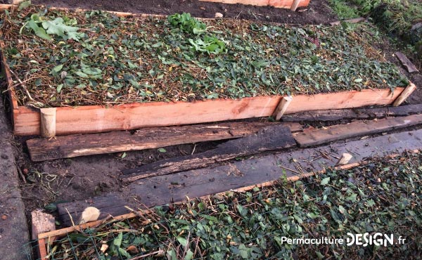 Buttes potagères nouvellement créées et paillées à l’automne avec du broyat de bois divers.