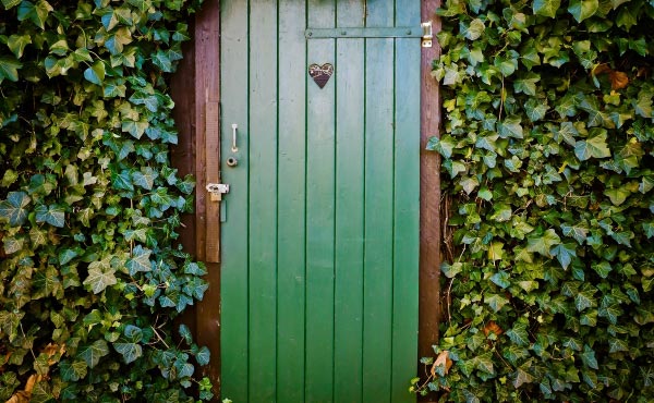 Maintenant que vous connaissez mieux le lierre et ses nombreux atouts, n’hésitez-plus à lui ouvrir la porte de votre jardin en permaculture ;) !