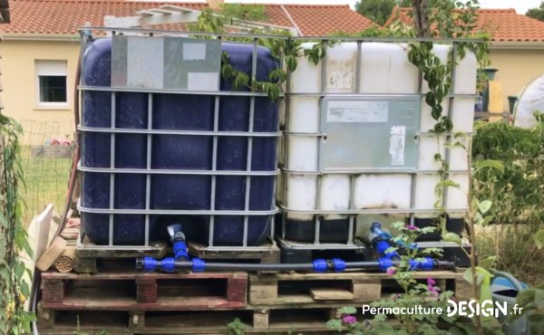 Surélévation des tonnes à eau dans le potager en permaculture de Sébastien pour lui permettre d’arroser au tuyau sans avoir à se baisser, pour faire avec ses problèmes de dos.