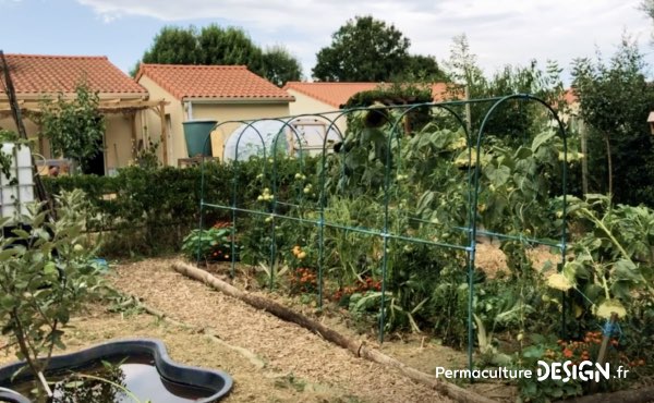 Un petit potager en permaculture productif qui permet à Sébastien et sa famille de partager leurs surplus avec le voisinage !