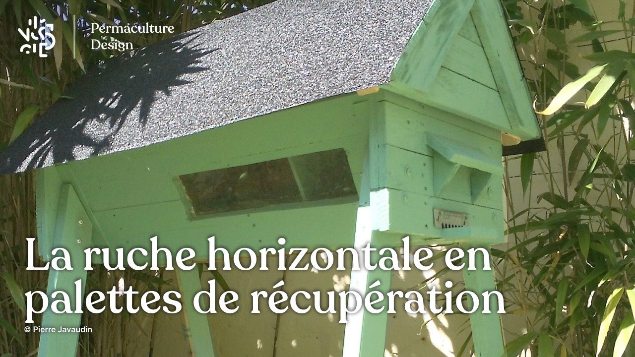 Comment fabriquer une ruche horizontale à partir de palettes et matériaux de récupération ?