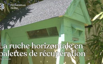 Comment fabriquer une ruche horizontale à partir de palettes et matériaux de récupération ?