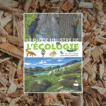 En savoir plus sur le livre Guide illustré de l'écologie aux éditions Delachaux.