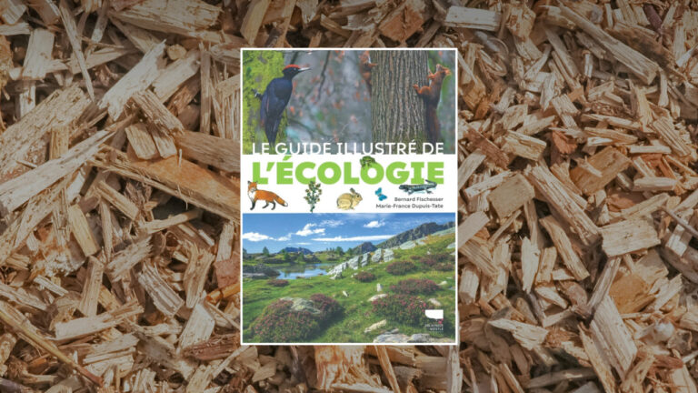 En savoir plus sur le livre Guide illustré de l'écologie aux éditions Delachaux.