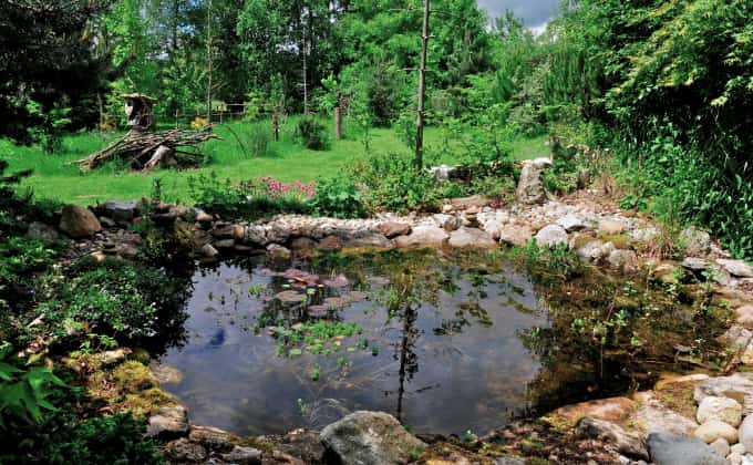 Une des mares naturelles créées par Gilles Leblais sur son lieu appelé « Mon jardin paradis » en Isère, ouvert au public sur réservation © Gilles Leblais