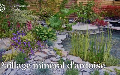 Paillage d’ardoise : un paillage minéral et décoratif