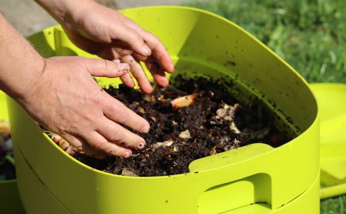 Pour récupérer un compost exempt de vers, il suffit d’exposer l’étage du dessus du lombricomposteur à la lumière du jour et de le remuer doucement.