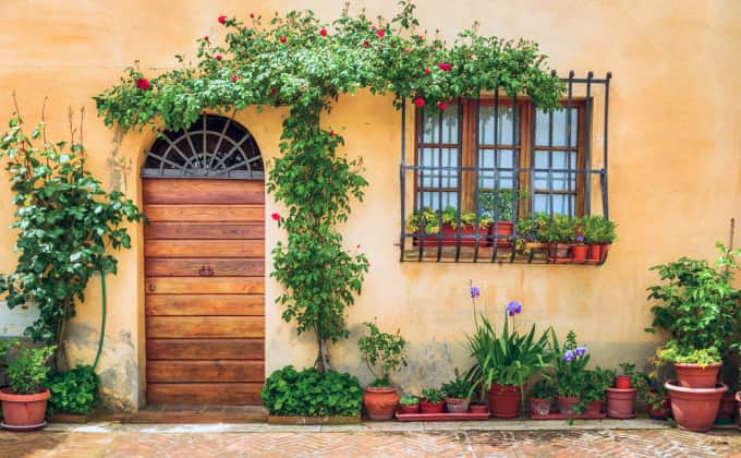 Lorsque les plantes grimpantes sont au pied d’un mur avec peu d’espace de sol pour les racines, il vaut mieux prévoir des amendements réguliers pour les maintenir en bonne santé !