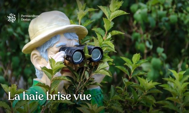 La haie de jardin végétale et brise vue