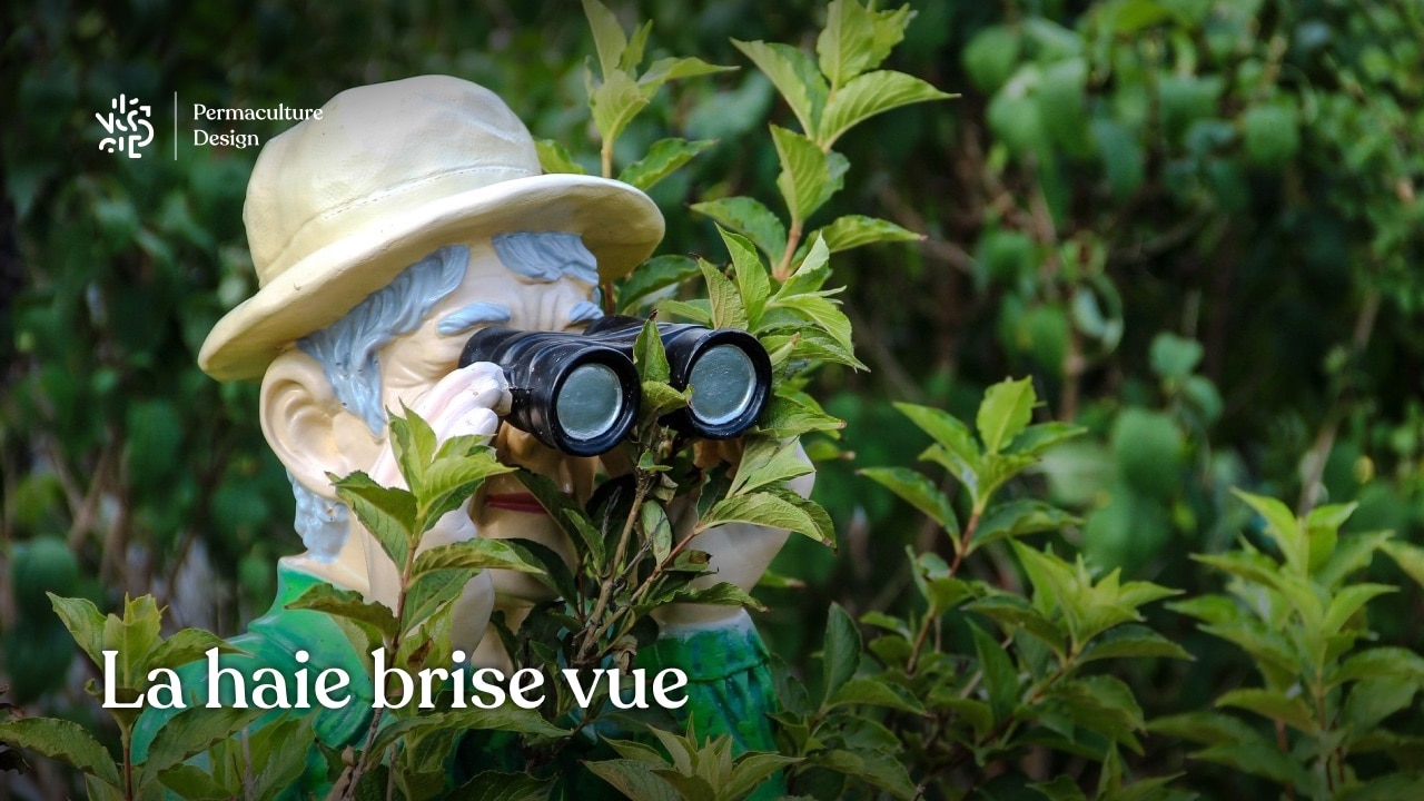 Planter une haie de jardin qui soit aussi une haie brise vue vous abritant des regards indiscrets peut se faire selon les principes de permaculture afin de créer une haie végétale brise vue efficace et biodiversifiée.