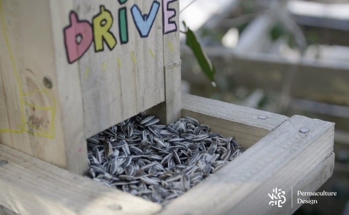 Mangeoire avec réservoir faite maison, décoré par les enfants et remplie de graines de tournesol pour le plus grand bonheur des oiseaux du jardin.