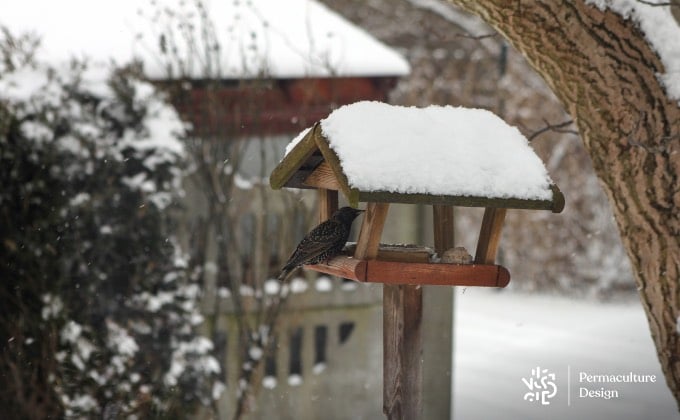 Mangeoire sur pied à mettre dans un endroit au sol bien dégagé pour que les graines tombées puissent être mangées sans danger par les oiseaux qui préfèrent se nourrir au sol.