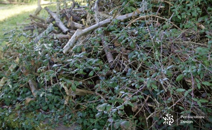 Tas de bois laissé au jardin pour servir de gites à de nombreux insectes qui serviront aussi de nourriture aux oiseaux du jardin.