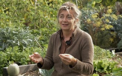 Potagers en permaculture, 4 exemples dans un même jardin