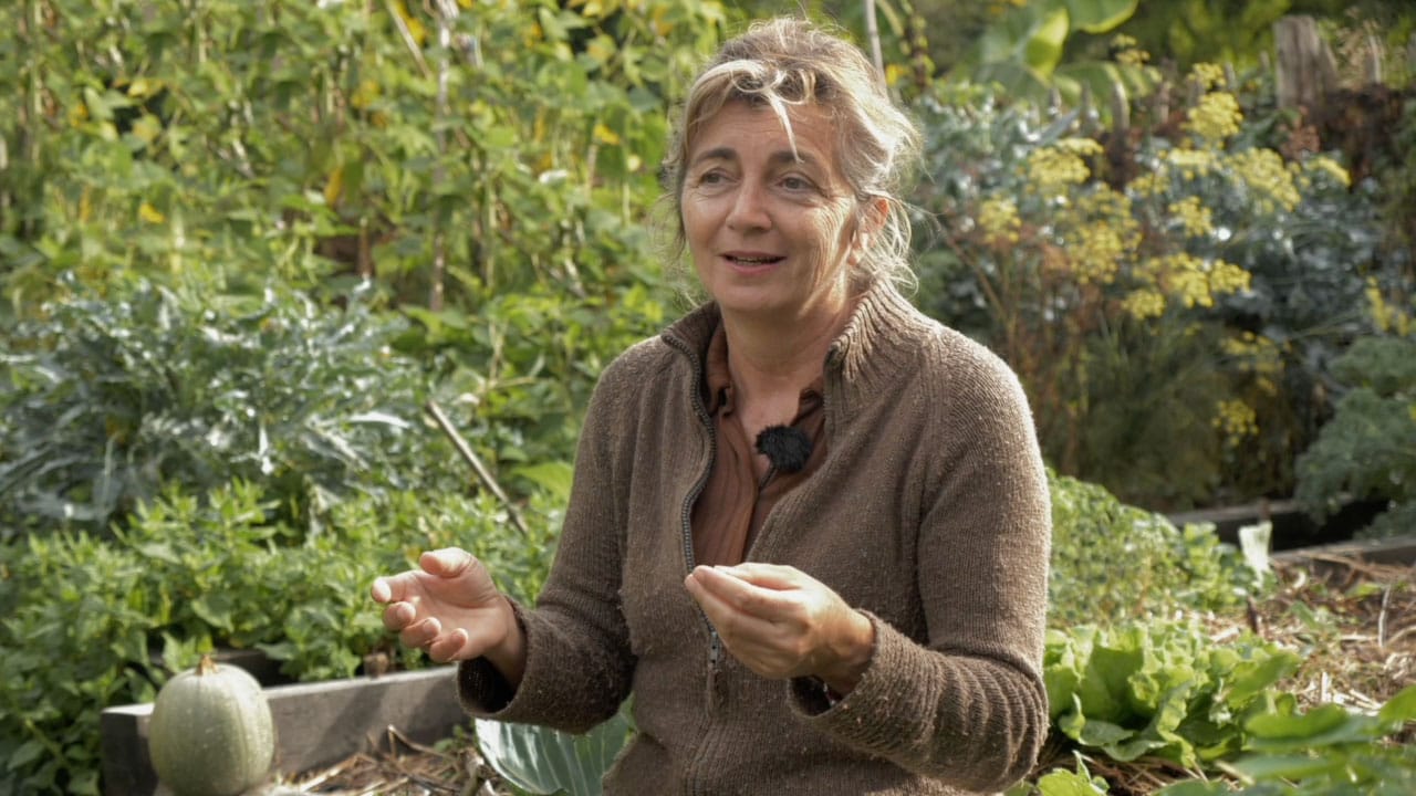 Potagers en permaculture, 4 exemples dans un même jardin
