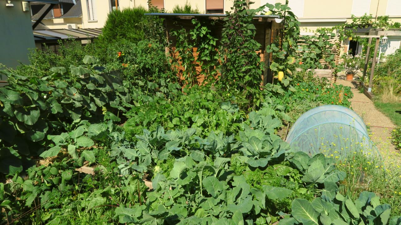 Réaliser son potager vis à vis de la taille de son terrain