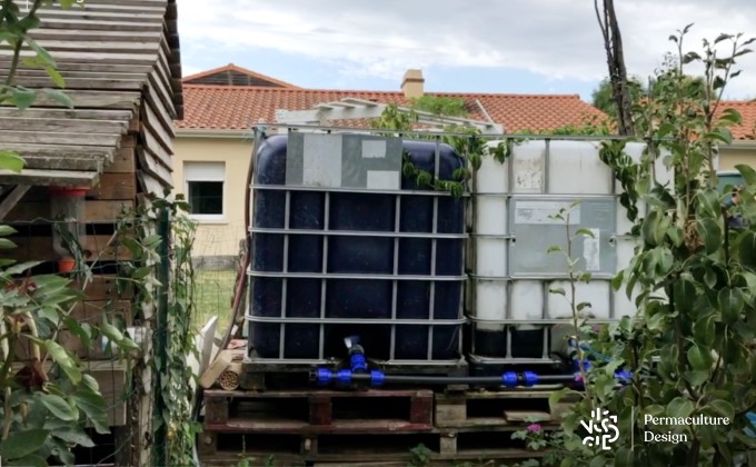 Cuve récupération d’eau dans un potager en permaculture.