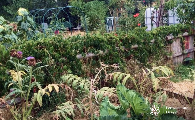 Potager en permaculture.