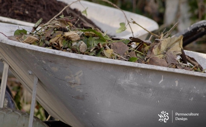 BRF pour paillage jardin dans une brouette.