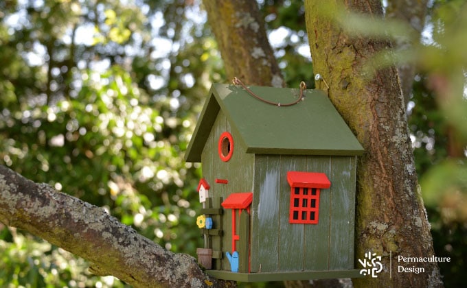 Un nichoir oiseaux ne doit pas avoir de perchoir devant l’entrée.