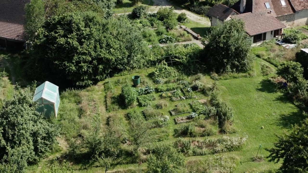 Jardin sans design de permaculture.