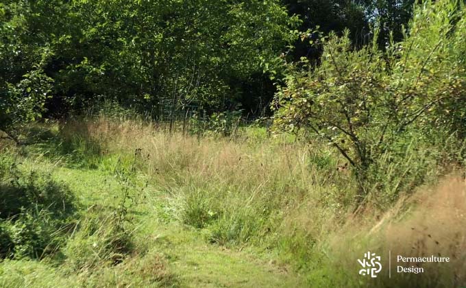 Tonte différenciée dans un jardin en permaculture.