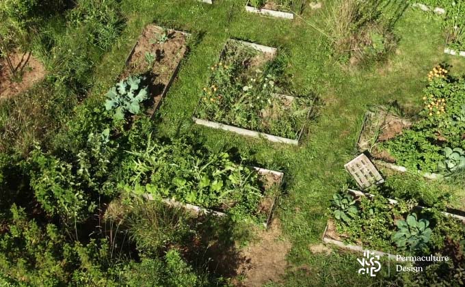 Plan potager en permaculture.