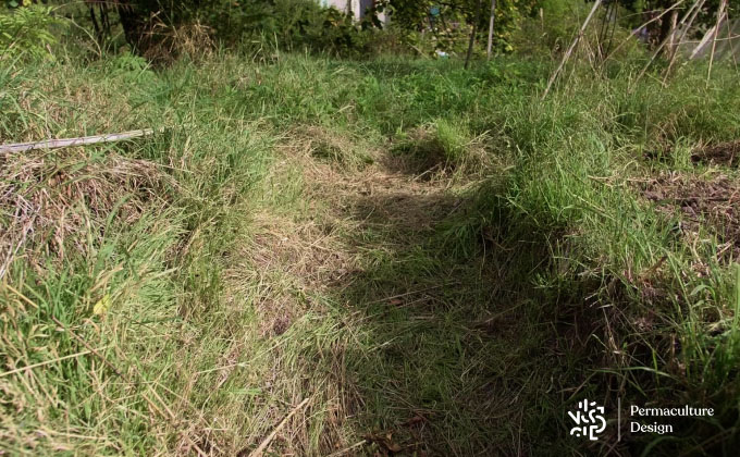 Les copeaux de bois se compostent très vite.