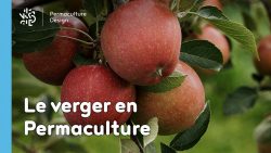 Le Verger en Permaculture
