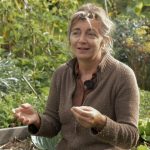 potager de Stéphanie