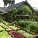 Avec sa petite ferme urbaine à Pasadena en Californie, la famille Dervaes développe son autonomie alimentaire et tend vers l’autosuffisance.