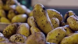 Les différentes méthodes de culture des pommes de terre