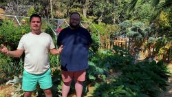 Potager en permaculture climat méditerranéen.