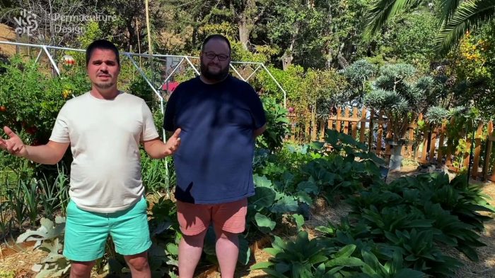 Potager en permaculture climat méditerranéen.