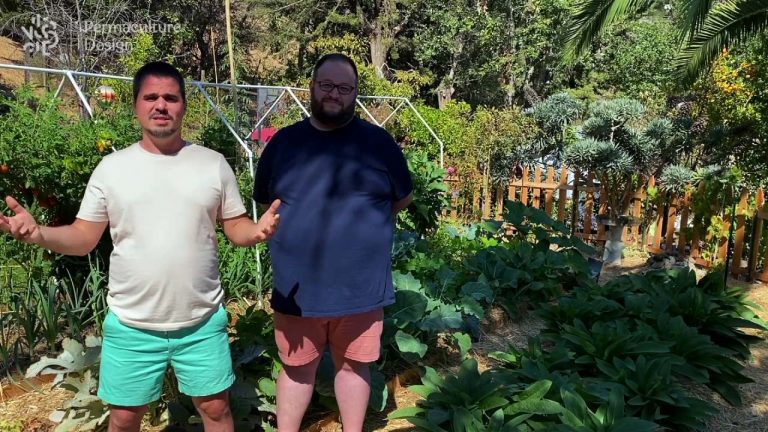 Potager en permaculture climat méditerranéen.
