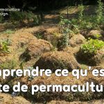 Butte, permaculture, des mots bien souvent associés, mais finalement qu’est-ce qu’une butte de culture ?