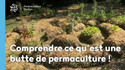Butte, permaculture, des mots bien souvent associés, mais finalement qu’est-ce qu’une butte de culture ?