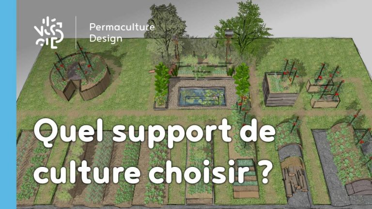 Faire une butte dans son potager n’est pas toujours pertinent, trouvez le support de culture idéal pour vous avec cette formation vidéo en ligne.