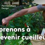 Pratiquer la cueillette de plantes sauvages comestibles est une activité ludique source d’alimentation saine, nutritive et gratuite qui permet de se reconnecter à la nature !