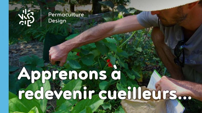 Pratiquer la cueillette de plantes sauvages comestibles est une activité ludique source d’alimentation saine, nutritive et gratuite qui permet de se reconnecter à la nature !