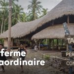 Le développement de la ferme Tao, basé sur les principes de permaculture a permis à toute une communauté d’être plus autonome et résiliente.