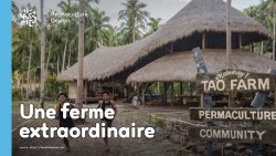 Le développement de la ferme Tao, basé sur les principes de permaculture a permis à toute une communauté d’être plus autonome et résiliente.