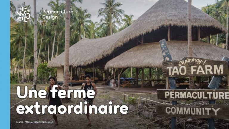 Le développement de la ferme Tao, basé sur les principes de permaculture a permis à toute une communauté d’être plus autonome et résiliente.