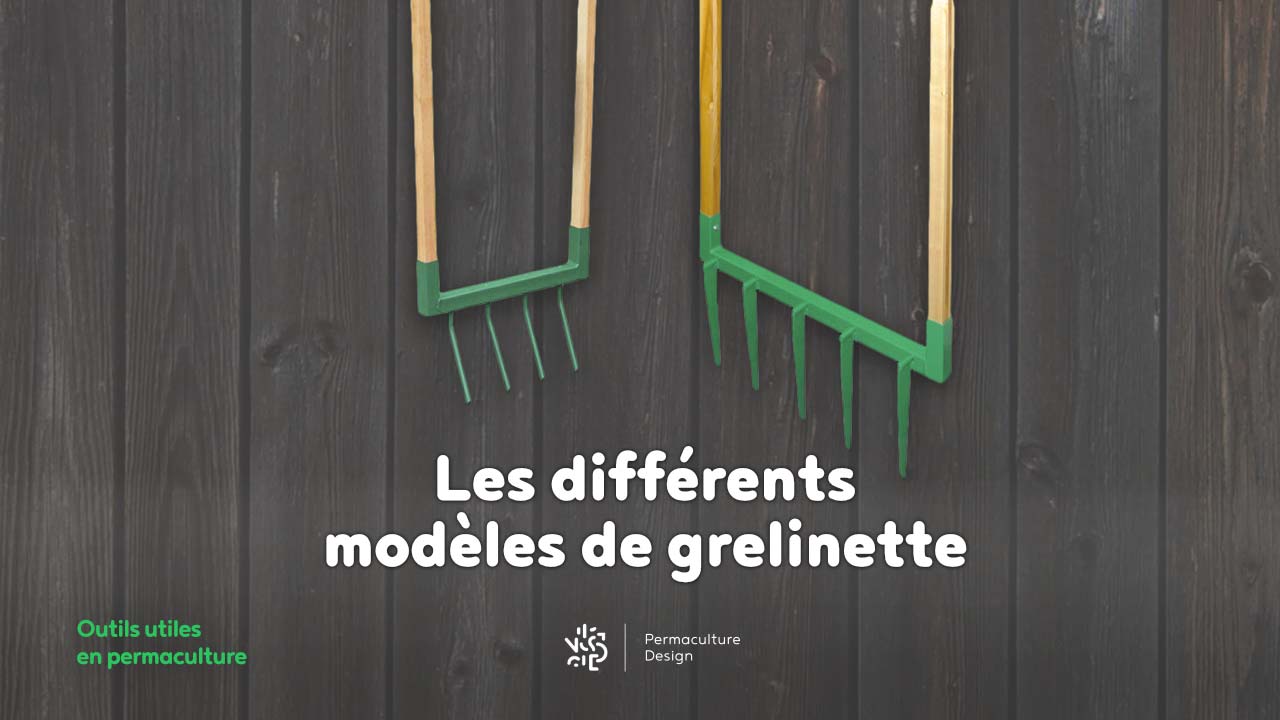 La grelinette, un outil indispensable en permaculture pour jardiner en respectant la vie du sol !