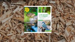 Livre La vie secrète de ma mare