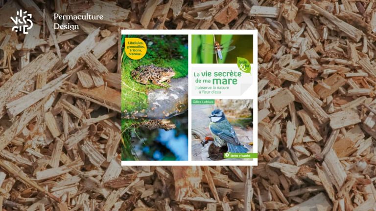 Le livre de Gilles Leblais « La vie secrète de ma mare » nous dévoile la formidable biodiversité pouvant se développer autour d’un point d’eau, indispensable dans un jardin en permaculture.
